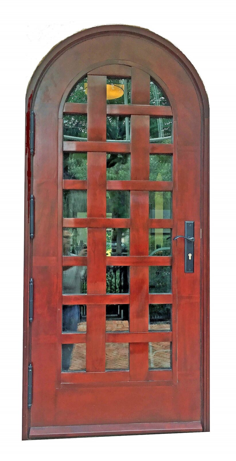 contemporary doorsexteriorDoors119