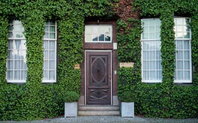 Selecting the Best Doors for Your Miami, FL Home