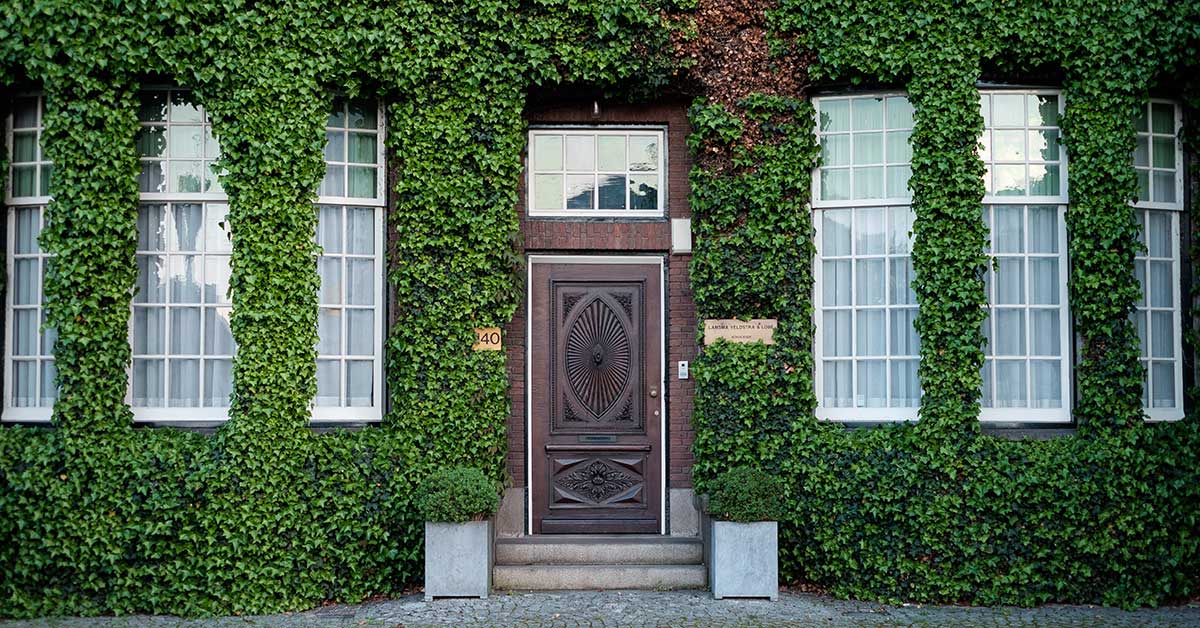 Mahogany Wood Facts You Must Know Bellini Mastercraft