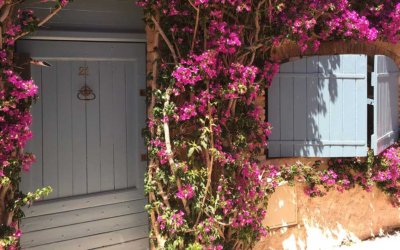 Exterior Mahogany French Doors