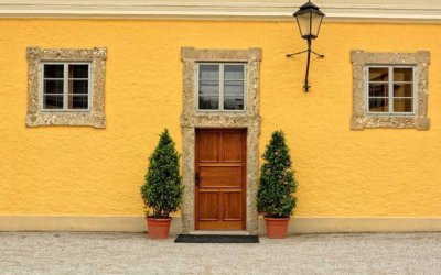 Solid Mahogany Doors vs. Generic Wood