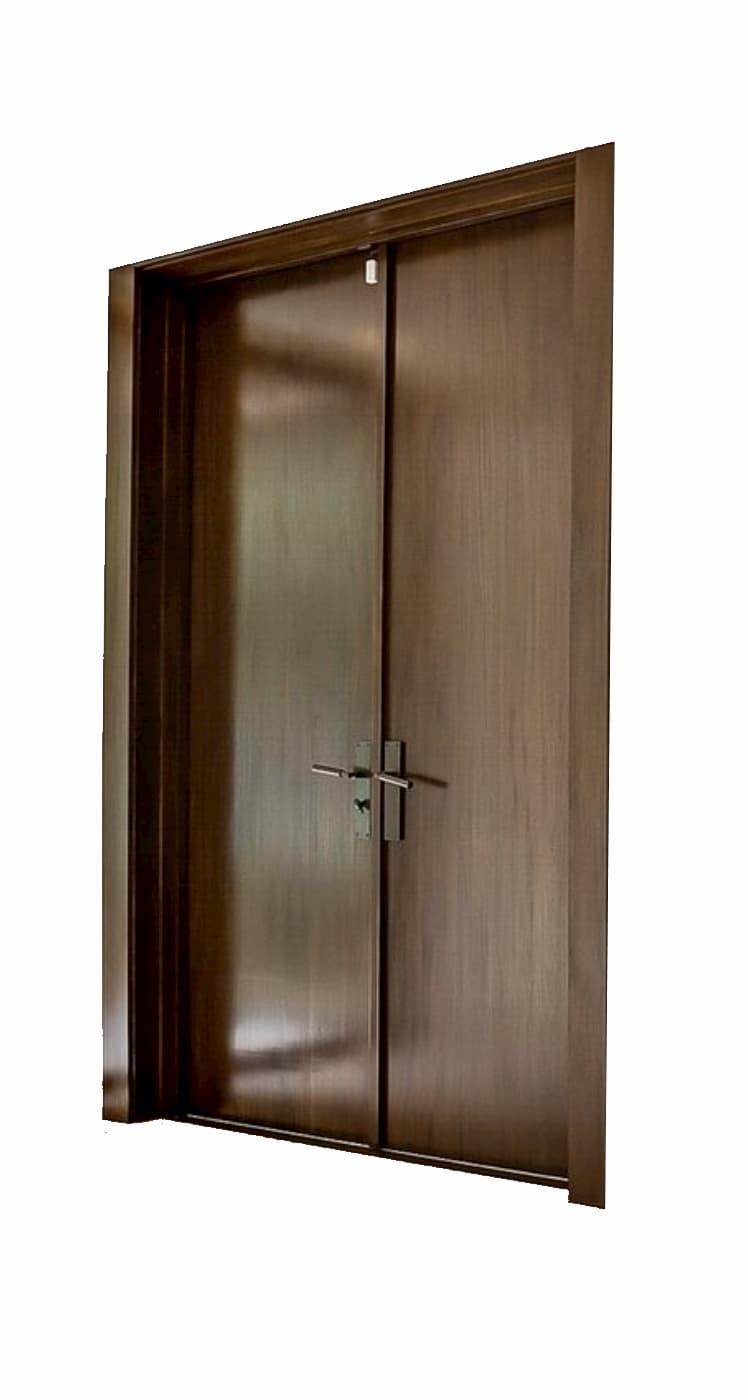 contemporary door