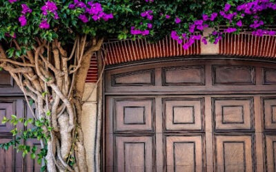Choosing The Right Entry Door For Florida’s Climate: A Guide To Custom And Hardwood Options
